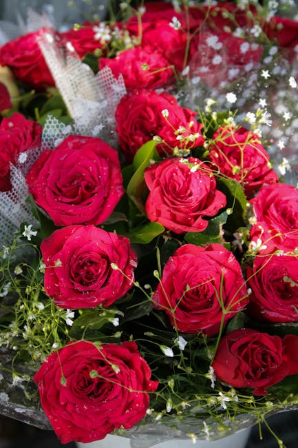 A close-up view of a bouquet of vibrant red roses with lush green leaves, complemented by small white baby's breath flowers and delicate sprigs of greenery. The roses, with their velvety petals and fr
